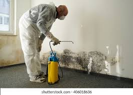 Why You Should Choose Our Mold Remediation Services in Spring Valley Lake, CA